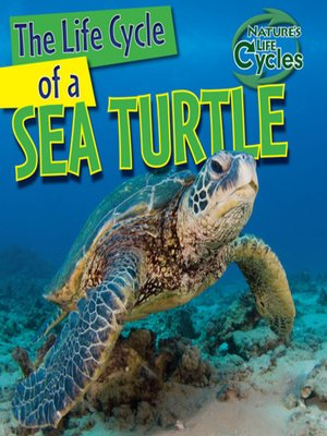 cover image of The Life Cycle of a Sea Turtle